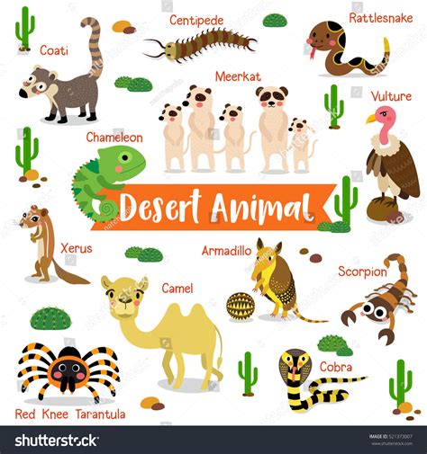 Desert Biome Animals