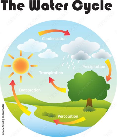Water Cycle Model 的图像结果