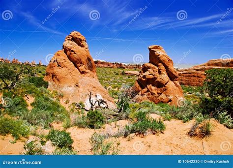 Red rocks of Utah stock photo. Image of morning, grass - 10642230
