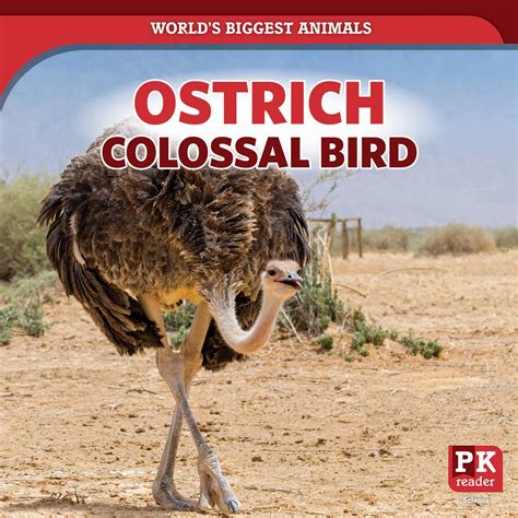 Ostrich: Colossal Bird (World's Biggest Animals) : Humphrey, Natalie ...