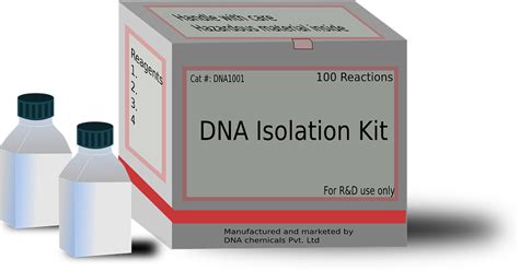 Law Web: How to appreciate evidence in case of low-copy DNA testing?