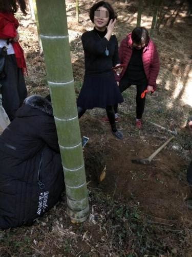 大别山村民每天上山挖笋，一斤只卖一元钱，却说很知足_腾讯新闻