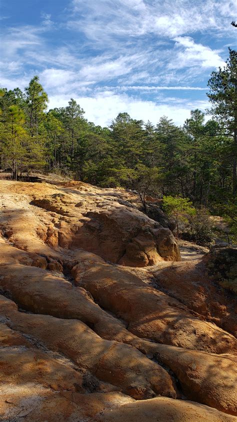 Chalk Cliffs in Hitchcock Woods - Aiken, South Carolina : r/hiking