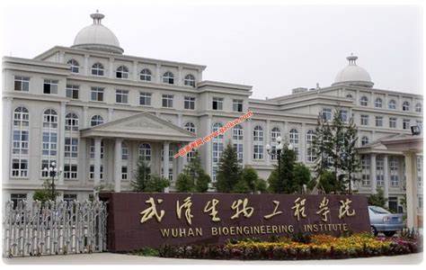 武汉生物工程学院2020年录取分数线（附2017-2019年分数线）_湖北分数线_一品高考网