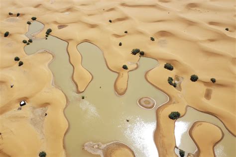 Así se ve el desierto del Sahara inundado tras fuertes lluvias en ...