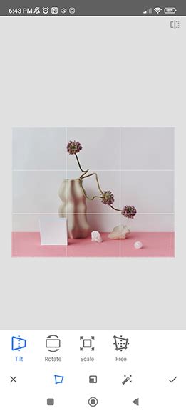 Image result for Snapseed Complete Tutorial