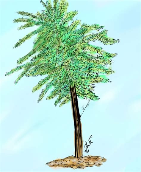 Image result for Simple Tree Drawing