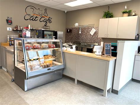 Cat Cafe | Kokomo Humane Society