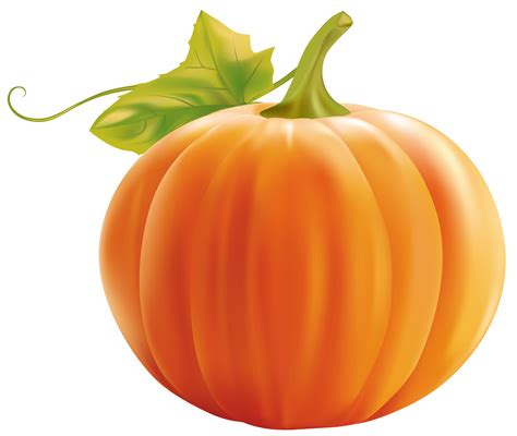 Clip Art Of Pumpkins - ClipArt Best