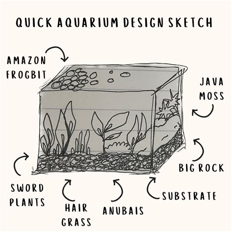 Step-by-Step Guide to Building a Self-Sustaining Fish Tank