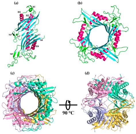 Production and Characterization of Recombinant Wild Type Uricase from ...