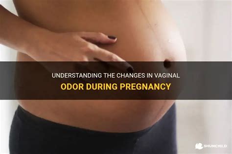 Understanding The Changes In Vaginal Odor During Pregnancy | ShunChild