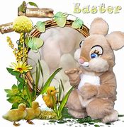 Image result for Spring Bunnies Pics