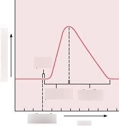 Image result for Myogram Labeled