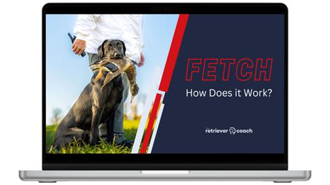 Image result for Getting Work with Fetch