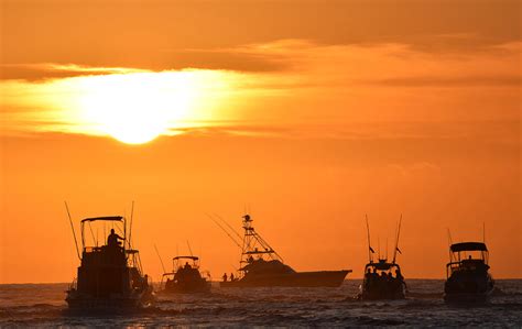 Pelagic Rocks Cabo with its 2nd Annual Rockstar Tuna Tournament ...