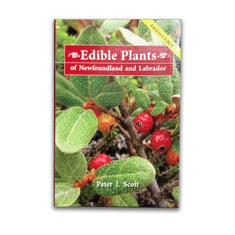 Edible Plants of Newfoundland and Labrador by Peter J. Scott – R.O.W ...