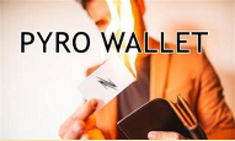 Image result for Pyro Wallet V2