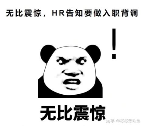 HR做背调时，主要在调查什么？一文告诉你-大厂人事