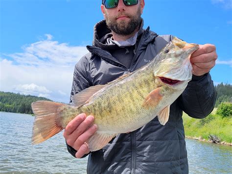 208 BOAT RENTALS (2026) All You Need to Know BEFORE You Go (with Photos ...