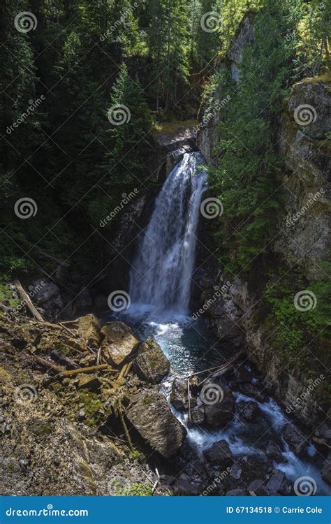Lady Falls, Strathcona Park Stock Photo - Image of vancouver, columbia ...