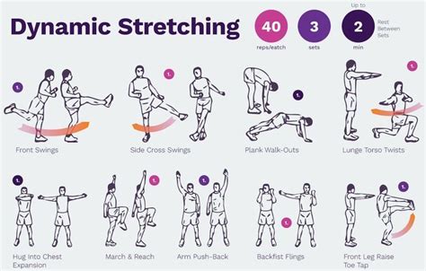 Dynamic Stretch Exercises 的图像结果