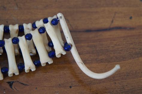 Vtg Native American Beaded Raccoon Penis Bone Choker Pendant Love ...
