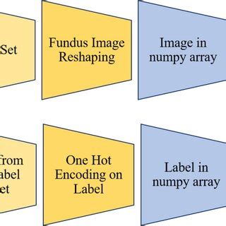 Image result for How to Train Using Image Dataset From Directory