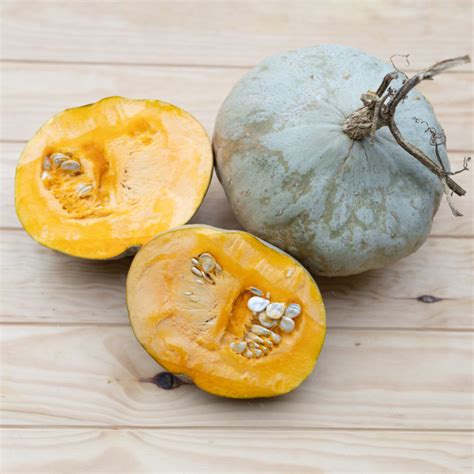 Heirloom Sweet Keeper Maxima squash Organic Seeds