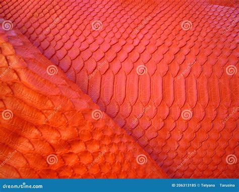 Image result for Red Python Snake Image