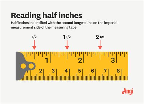 What Is Half Of An Inch And A Half | Detroit Chinatown