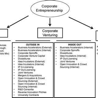 Corporate Entrepreneurship 的图像结果