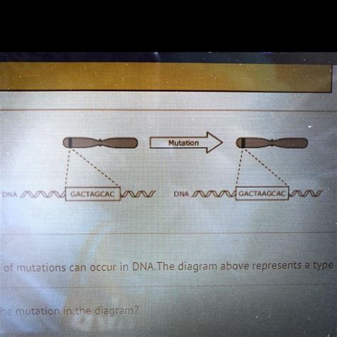Mutation 的图像结果
