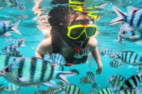 2026 Jeddah Red Sea Snorkeling Tour - with Reviews & Photos