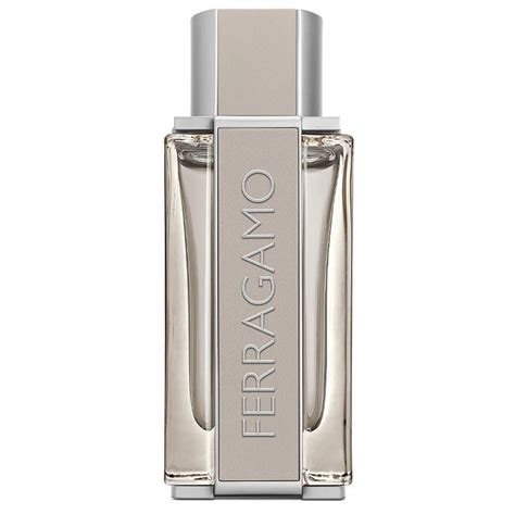 Salvatore Ferragamo Bright Leather EDT 100ML for Men – Rini Deals
