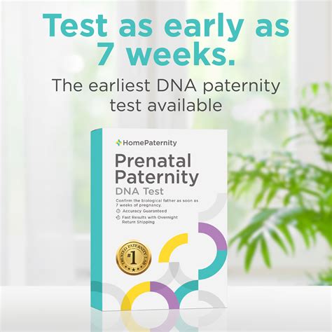 Non-Invasive Prenatal Paternity Test - Home Paternity