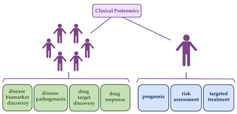 The Implementation of Mass Spectrometry-Based Proteomics Workflows in ...