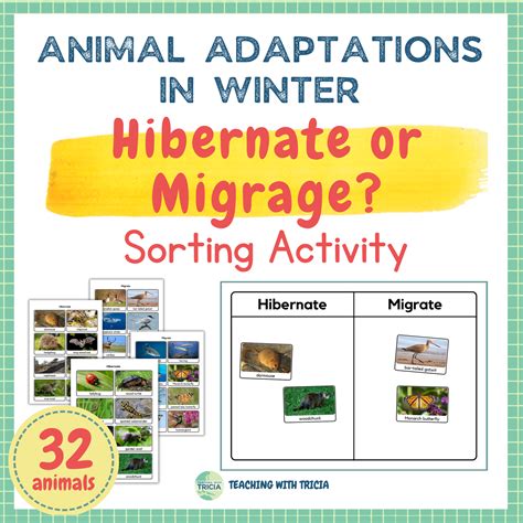Animal Adaptations in Winter- Hibernate or Migrate Sorting for Winter ...
