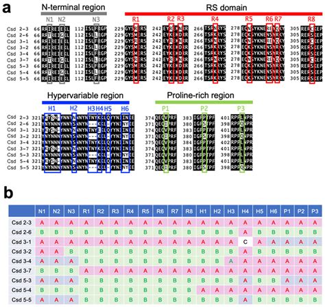 In Vitro Comparison of Sex-Specific Splicing Efficiencies of fem Pre ...