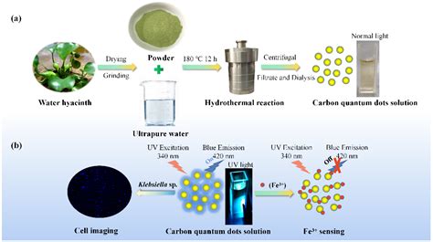 Facile and Green Synthesis of Highly Fluorescent Carbon Quantum Dots ...