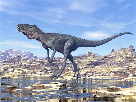 Which Animals Today Were Alive at the Same Time as Dinosaurs? - A-Z Animals
