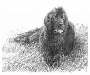 tutorial realistic drawing clip art