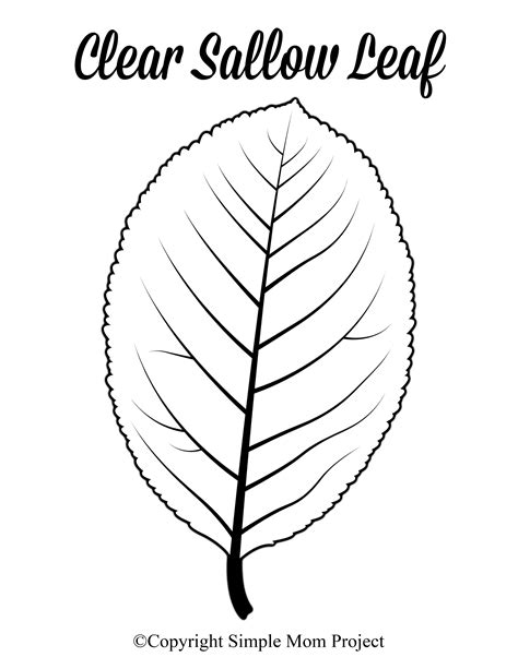 Big Leaf Template Printable