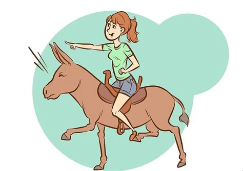 如何让一头驴为你所骑？3个步骤，从选驴子到保养轻松搞定_因为