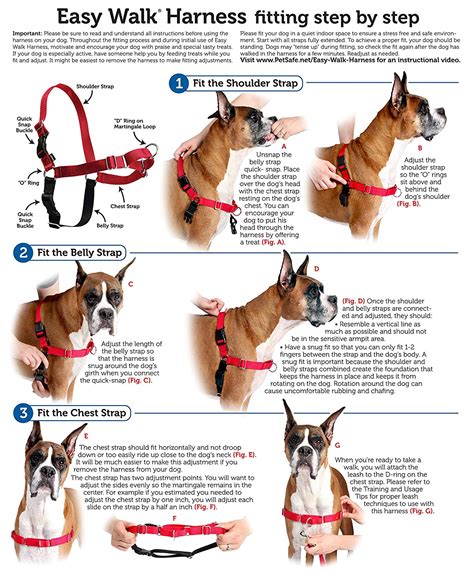 PetSafe Easy Walk Harness & Lead - Front Attachment | DogCulture