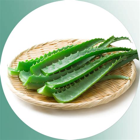 Ayurvedic Fungal Infection Cream for severe fungal | BIOAYURVEDA