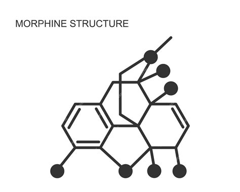 Premium Vector | Morphine chemical molecular structure icon Alkaloid with analgesic effect