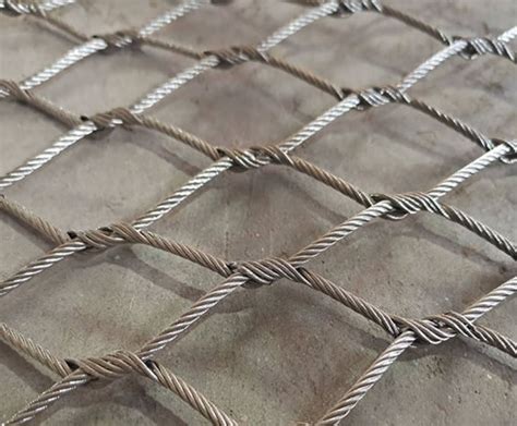 WebNet 的图像结果