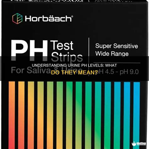 Understanding Urine Ph Levels: What Do They Mean? | MedShun