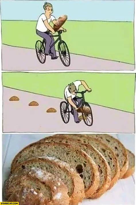 Bicycle memes | StareCat.com